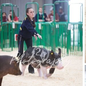 Meet your Posher, Carley